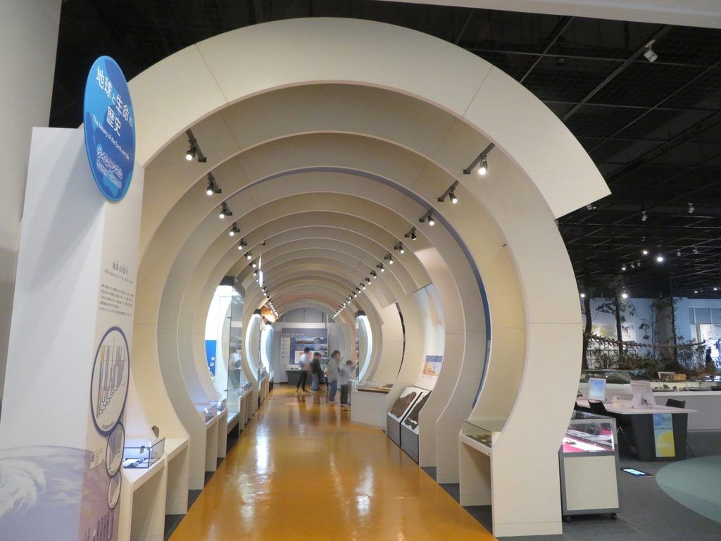 2階のトンネル状になった展示通路