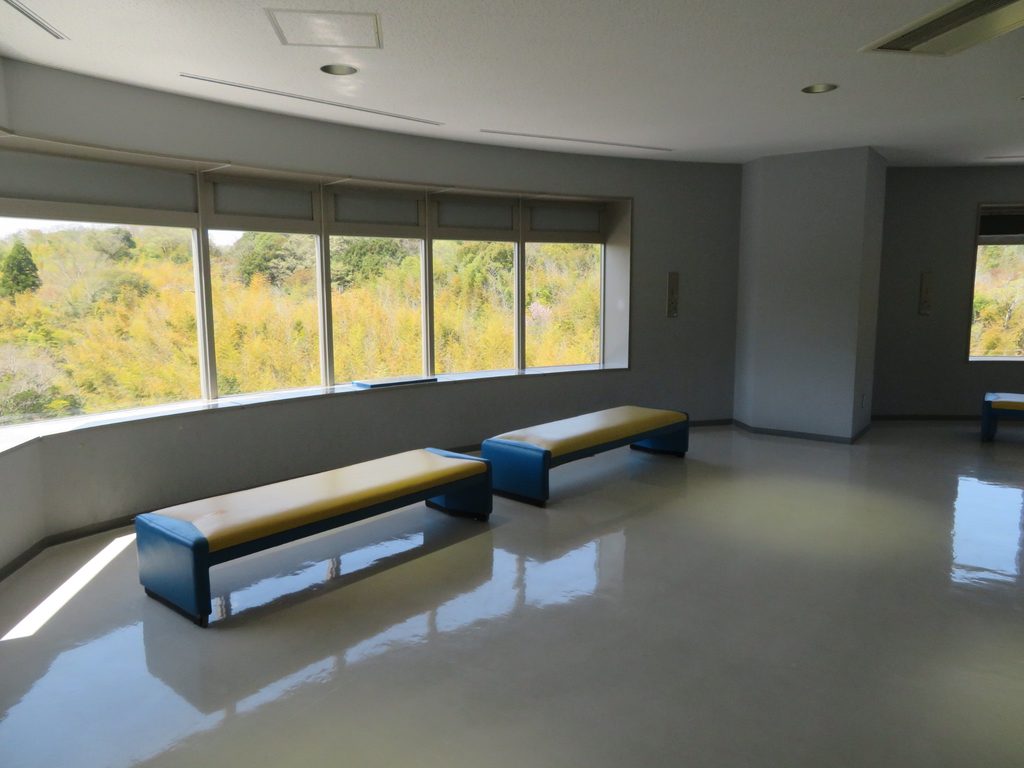 5階展望室のベンチと窓から見える木々