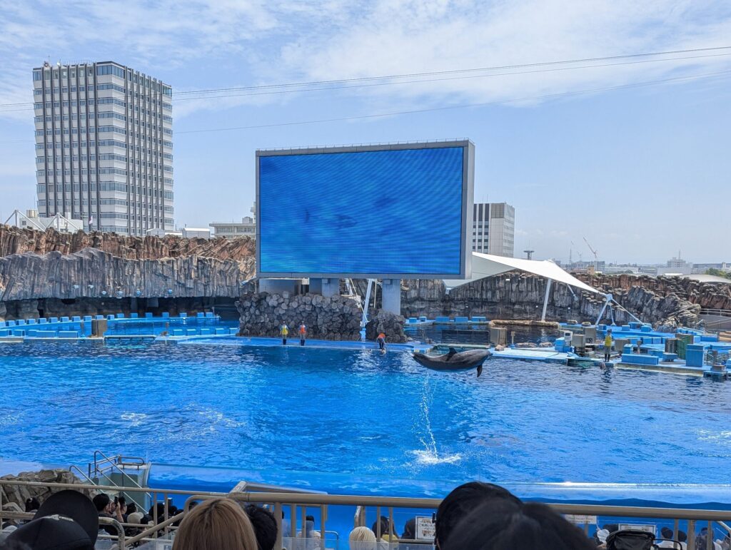 名古屋港水族館のイルカショー