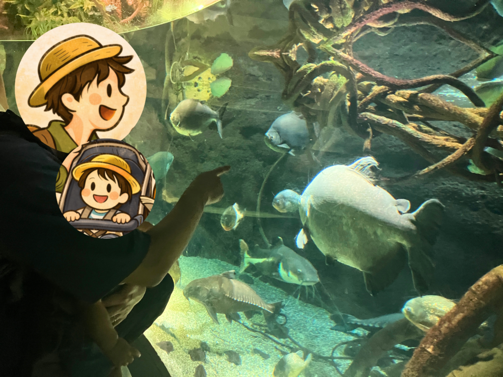 海遊館で魚を指差しながら水槽を見る11か月の子ども2