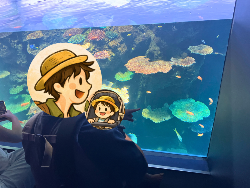 海遊館の色鮮やかなサンゴ水槽を見る11か月の子ども