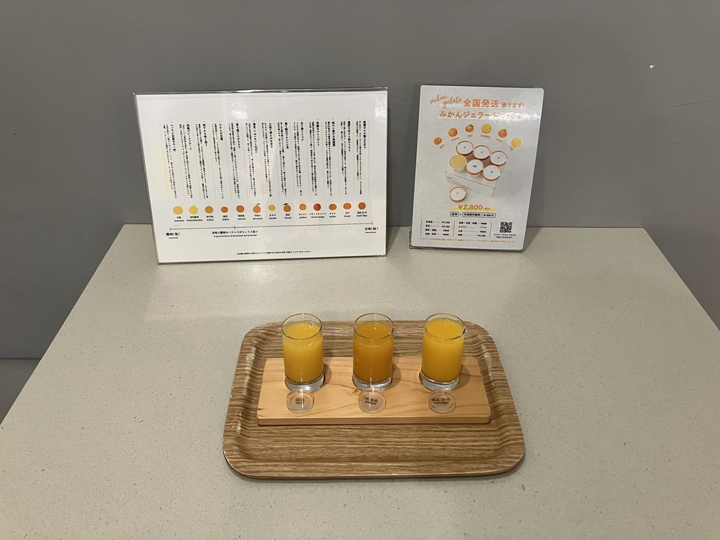 10FACTORYのみかんジュース3種類の飲み比べセット